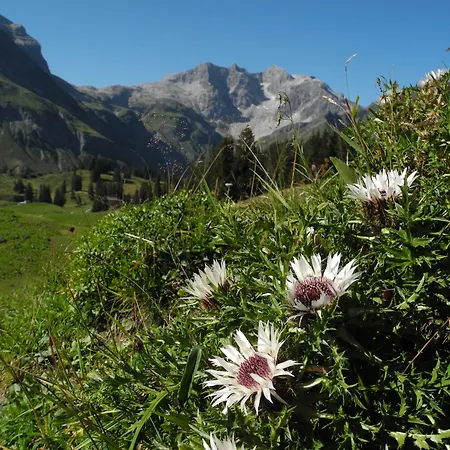 Wellnesshotel Warther Hof Hotel 4*