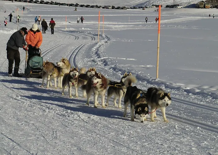 Wellnesshotel Warther Hof Hotel 4*